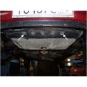 Защита двигателя Peugeot 206 1998-2010 Кольчуга